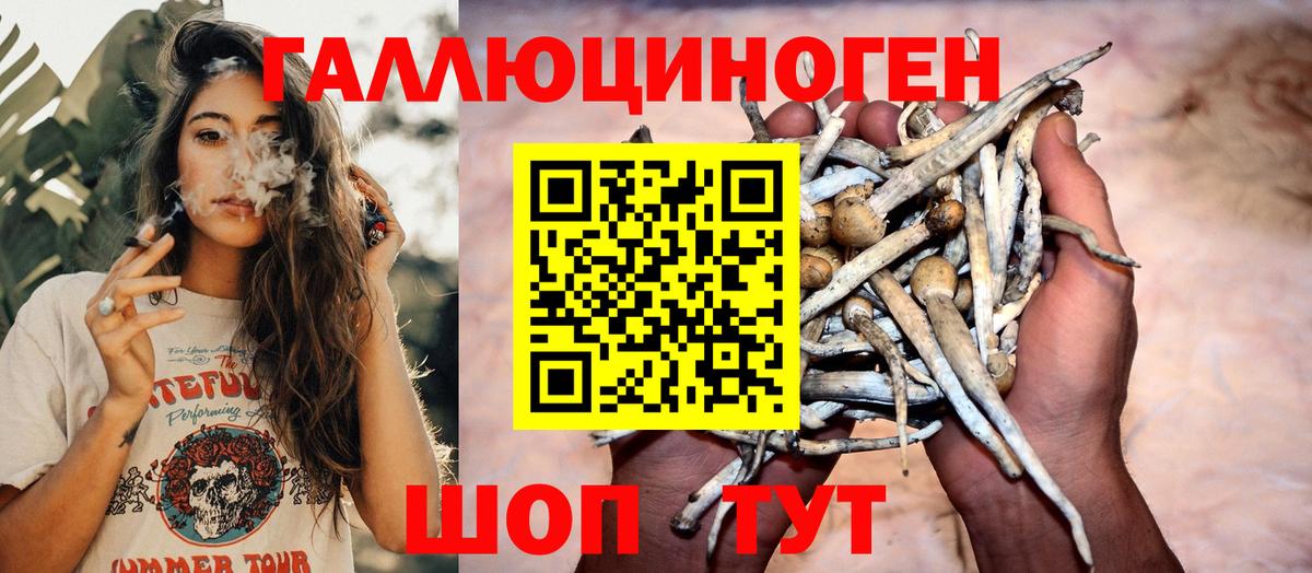 магазин  наркотиков  Галлюциногенные грибы Psilocybe  Вход с VPN  Белогорск 